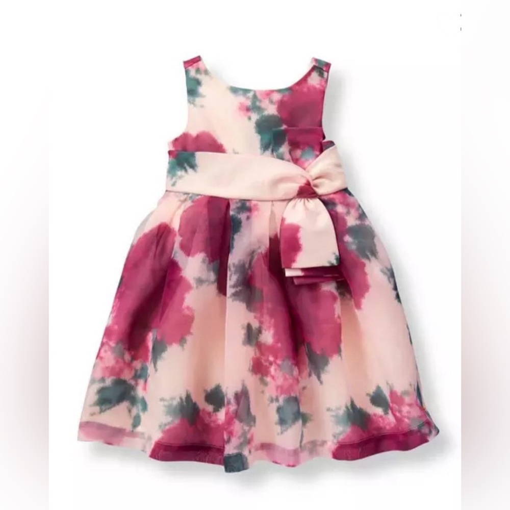 Janie and Jack Floral Pink and Green Dress